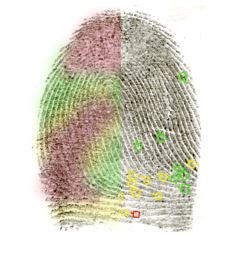 QQ Fingerprint Analysis